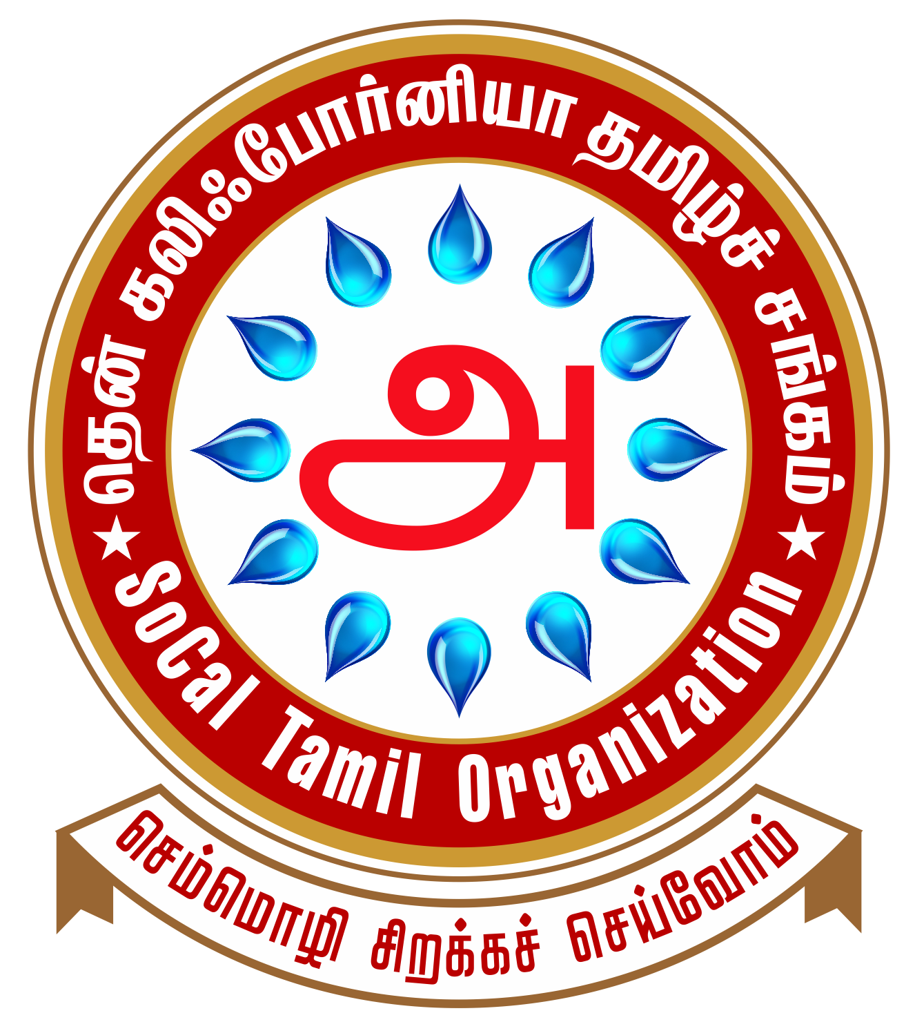 Library Logo